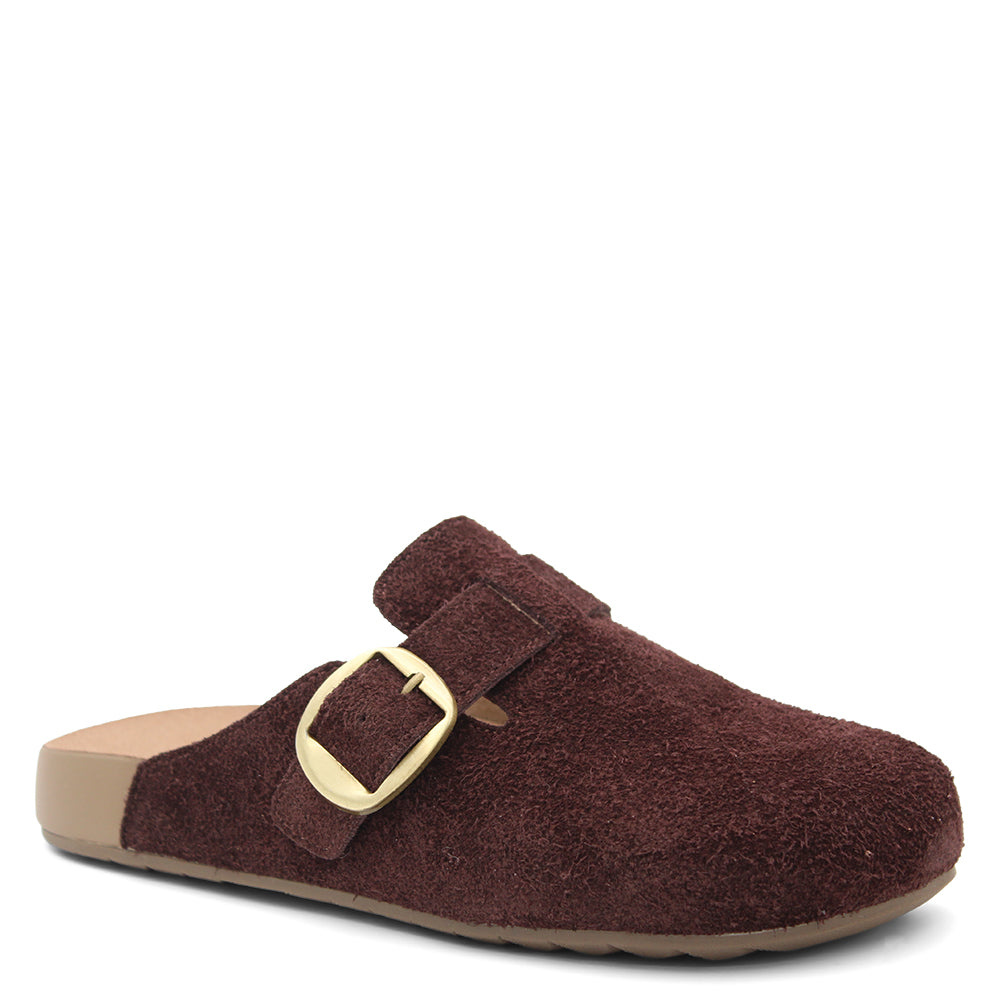 Alfie & Evie Totty Womens Flat Clog Choc