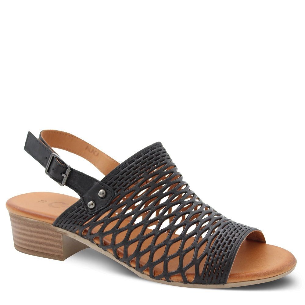 Cabello Alaca Women's Heel Sandals Black