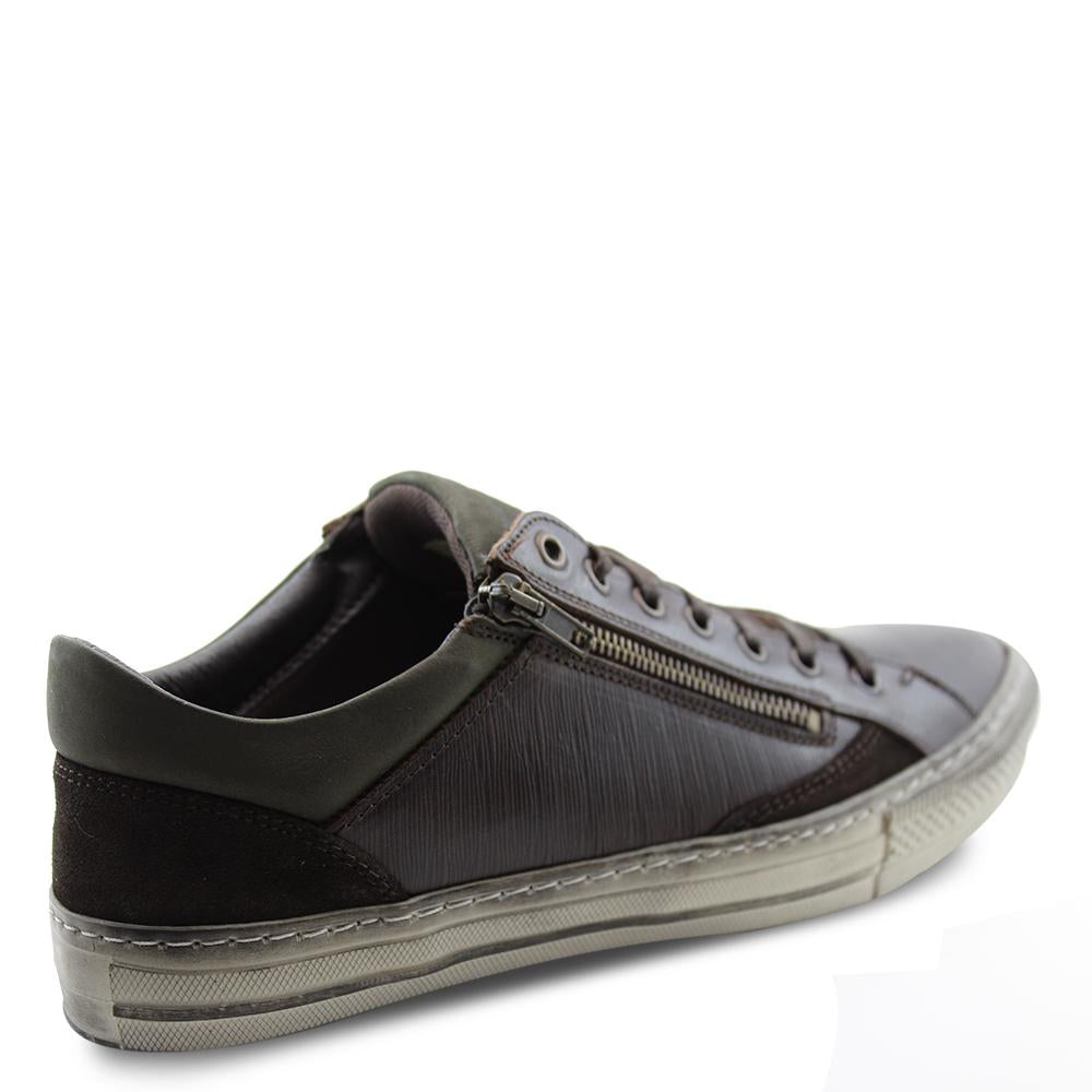 Wild Rhino Jamison mens lace up Brown